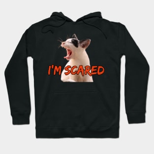 I'm scared kitty Hoodie